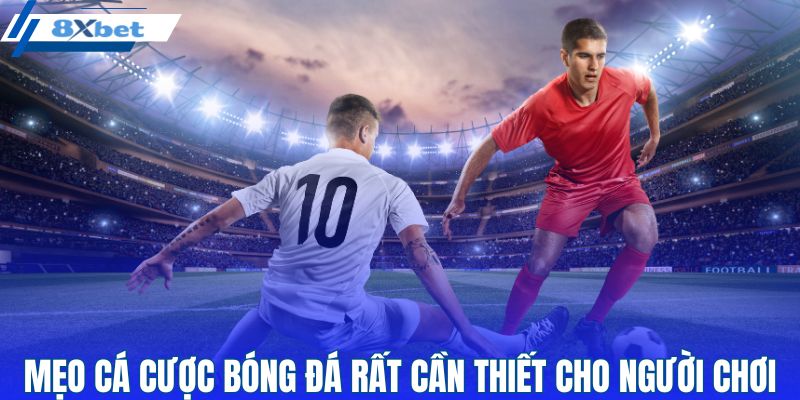 Mẹo cá cược bóng đá 8XBET cần cho người chơi